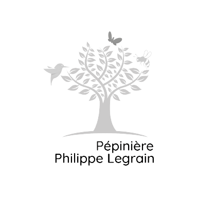 logo pépinière Philippe le grain ronge